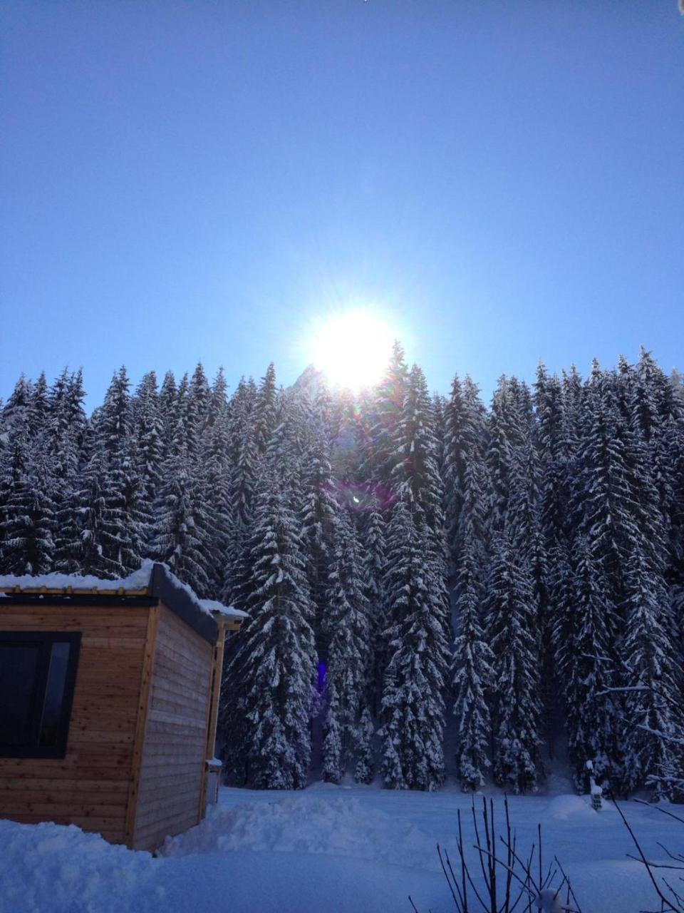 Bed and Breakfast Eirl Dolomites Retreat Sappada Exterior foto